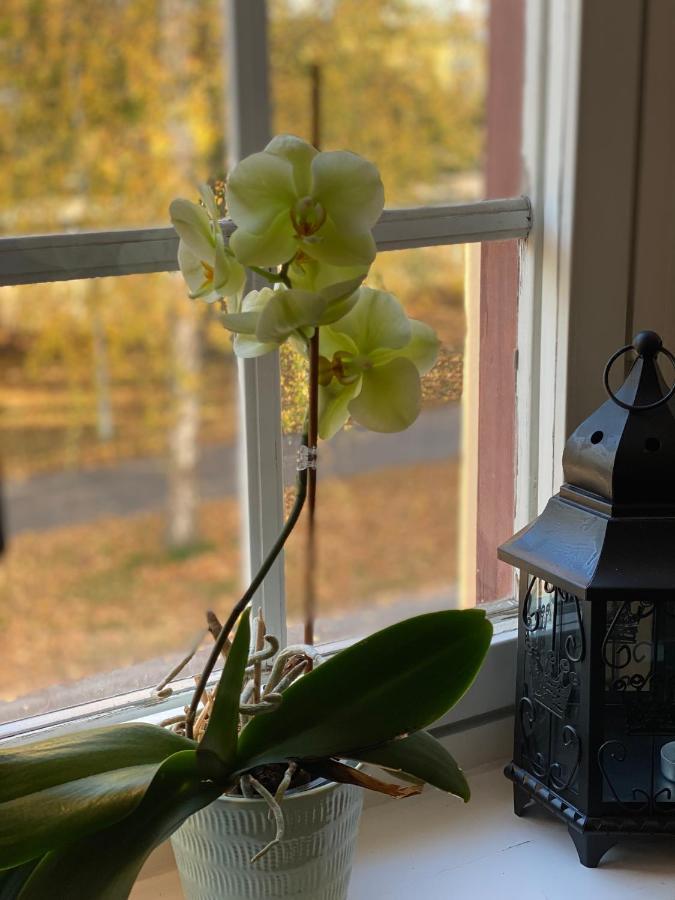 Ting1903 Bed & Breakfast Avesta Extérieur photo